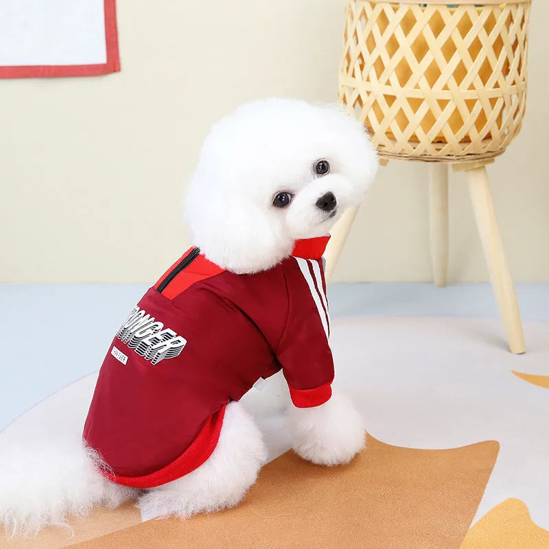 Red V-neck cotton dog coat on mannequin showing splicing design and thick fabric texture