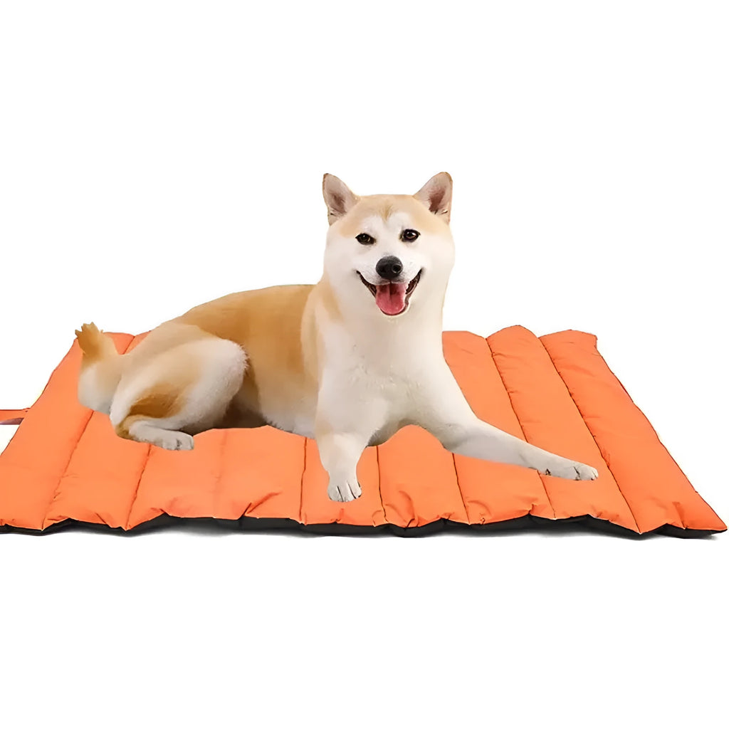 Waterproof folding Oxford fabric mat for dogs and cats packed at 35x25 cm in black color