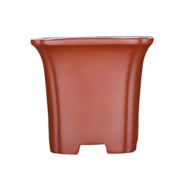 Classical square purple clay orchid pot, 15.5 cm width, in black finish