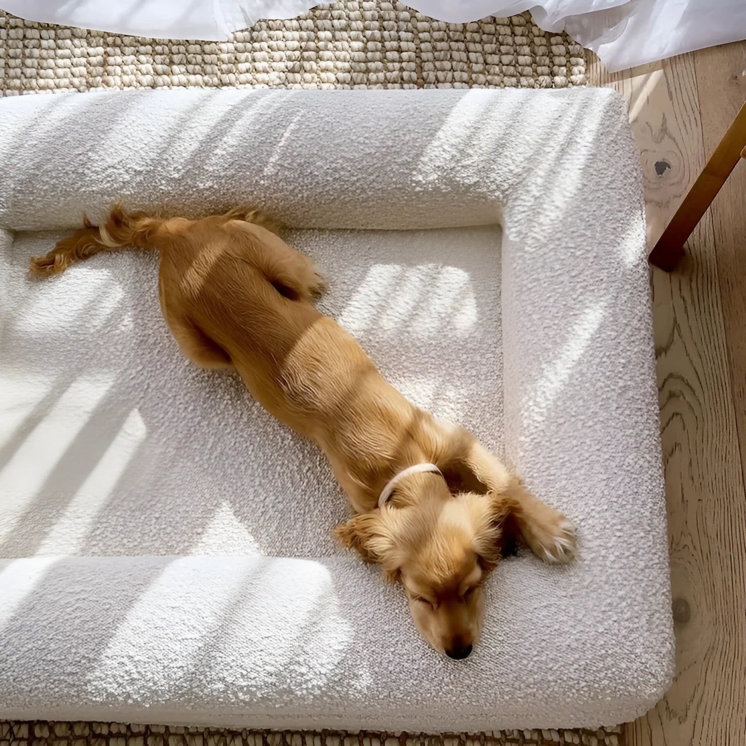 Beige rectangular cloth dog bed with low-profile sofa-style design