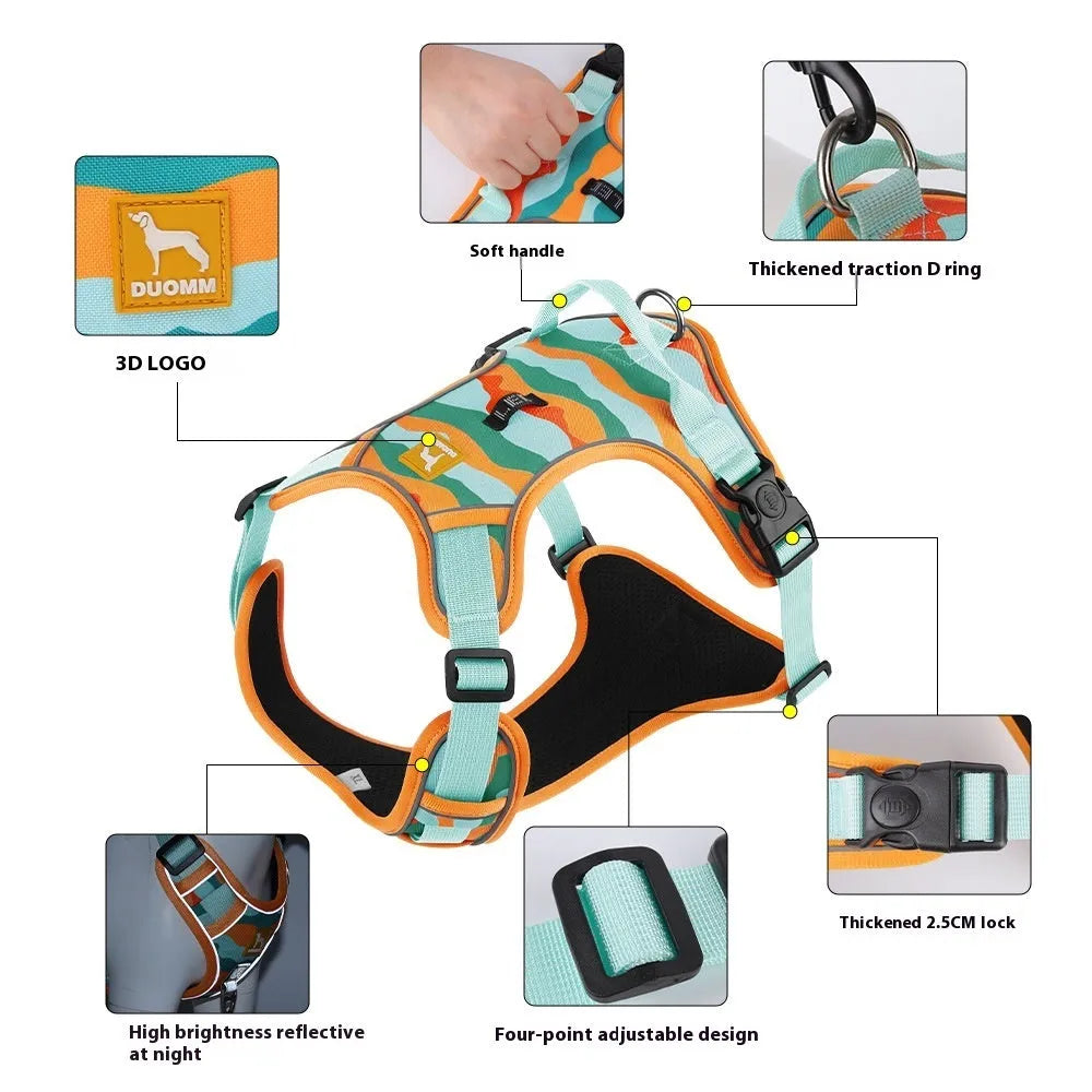 Reflective orange dog harness and leash for chest and back control on a dog.
