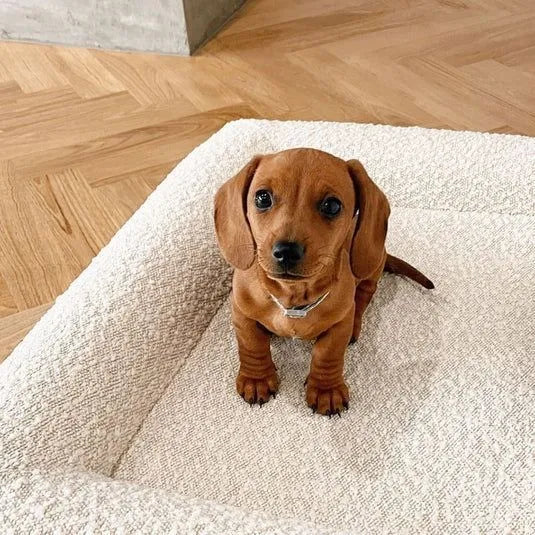 Beige rectangular cloth dog bed with low-profile sofa-style design