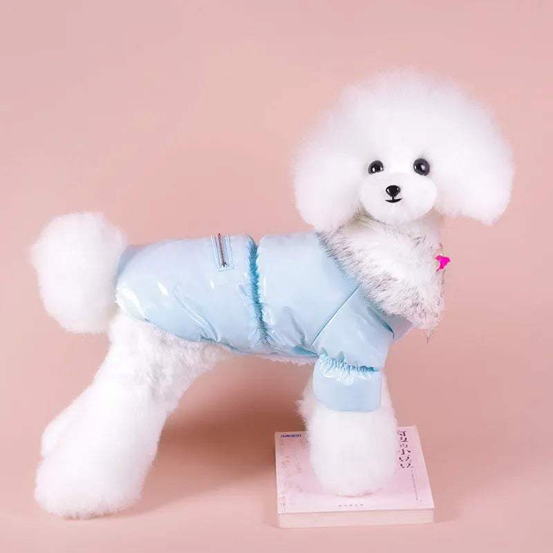 British style blue cotton winter jacket for medium-sized dog with collar and front closure