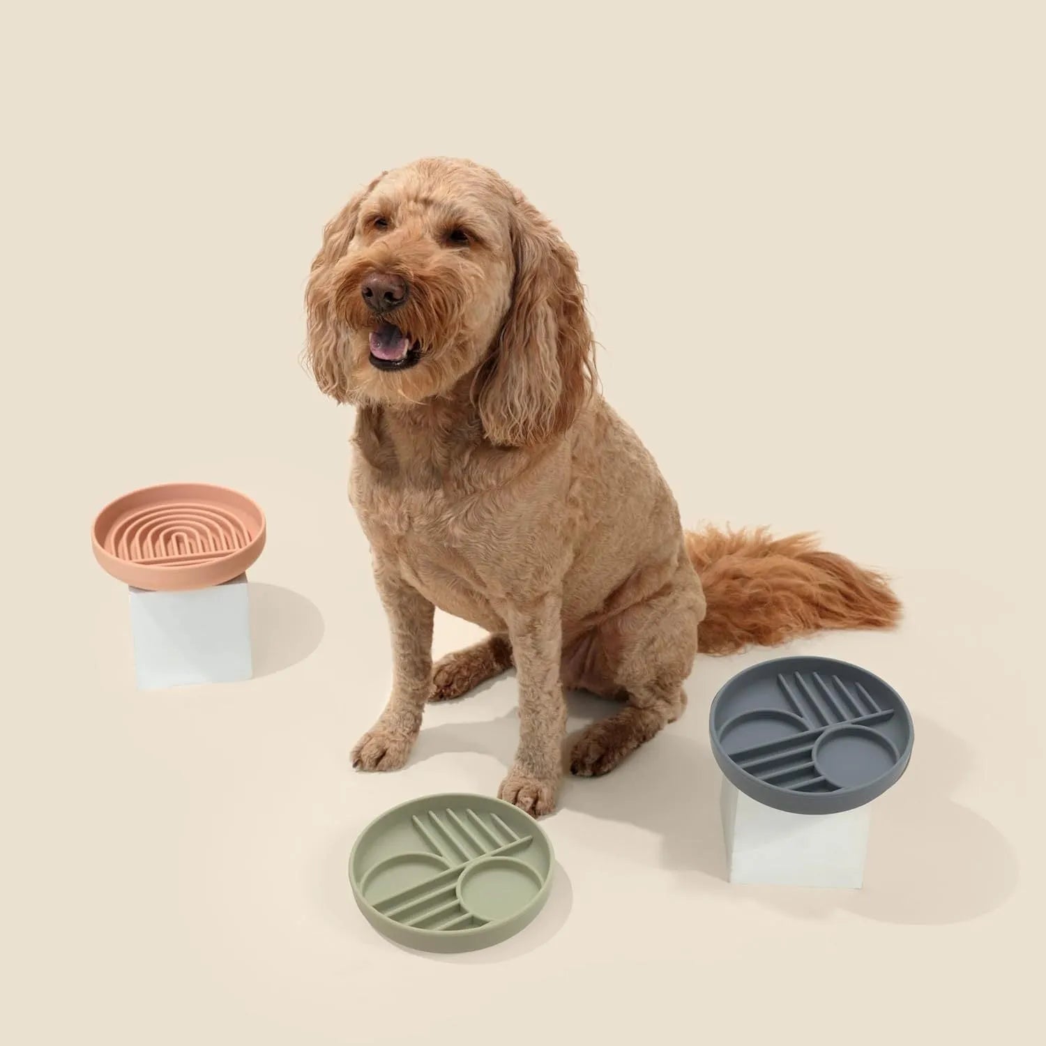 Silicone slow feeder dog bowl with ridge design in assorted colours