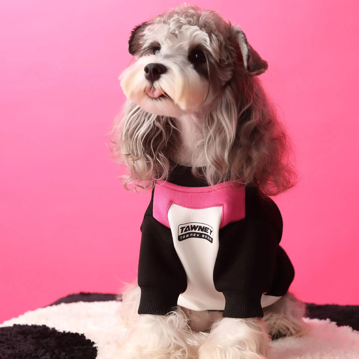 Cotton dog pullover sweater with zipper and stitching in pink or blue, sizes XS to XXL