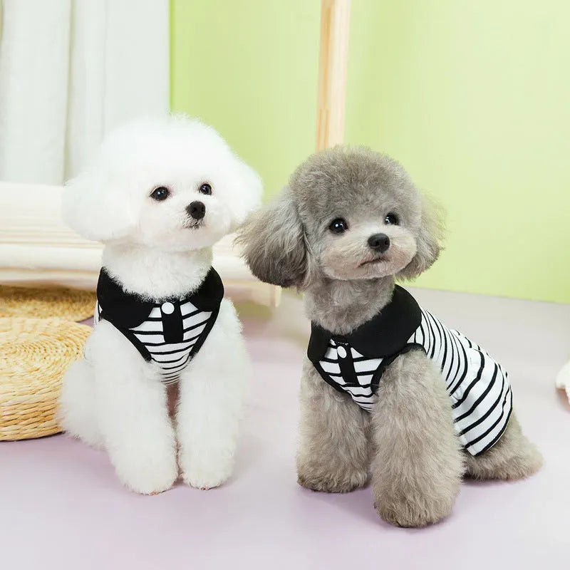 Pet wearing striped cotton T-shirt and skirt summer clothing set
