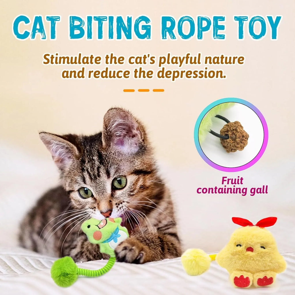 Plush cat toys with silvervine fruit and stretch springs in animal designs including frog, pig, star, rabbit, chicken, and panda