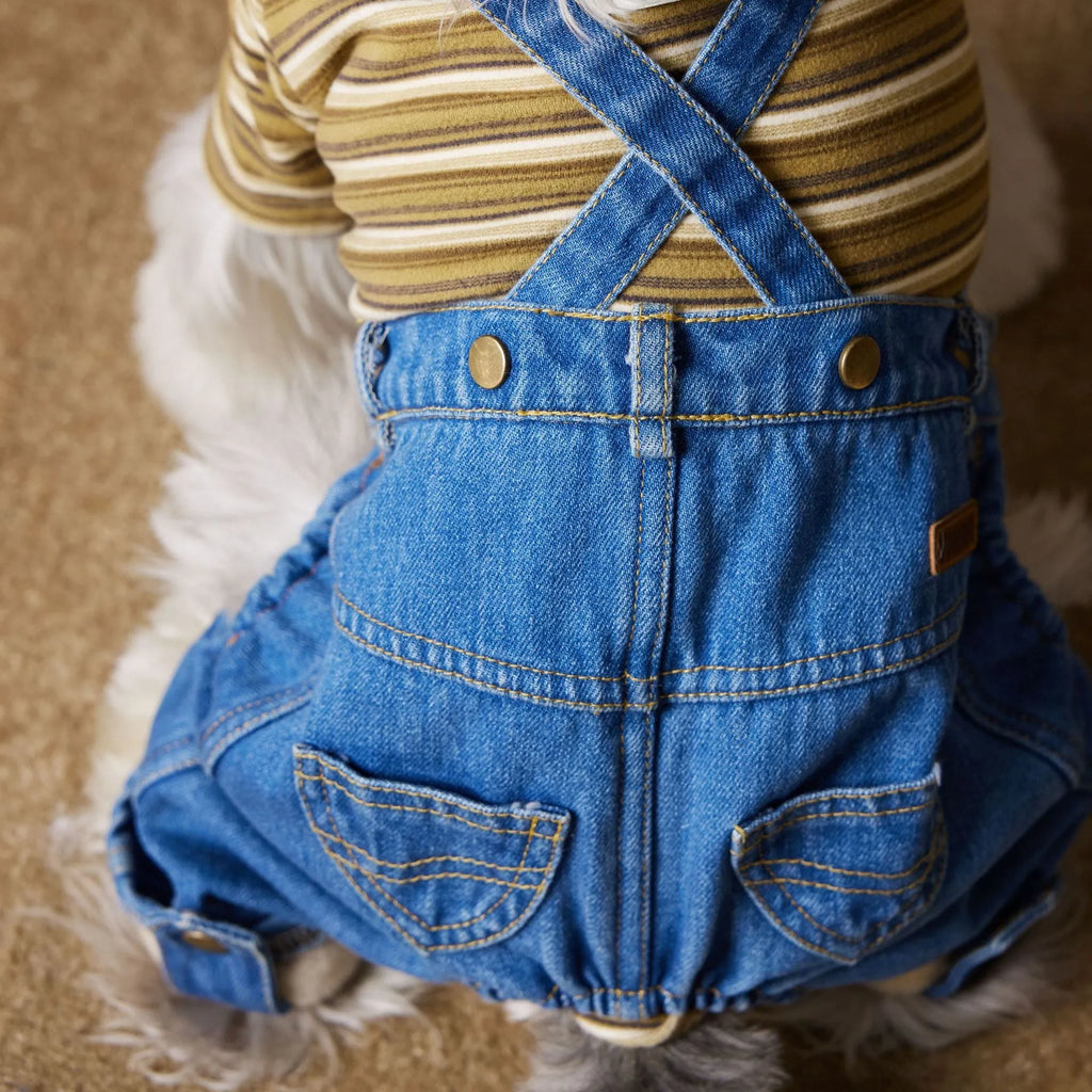 Fleece-lined thickened denim blue dog coat for Teddy, Schnauzer, and Bichon breed sizes XS to XXL