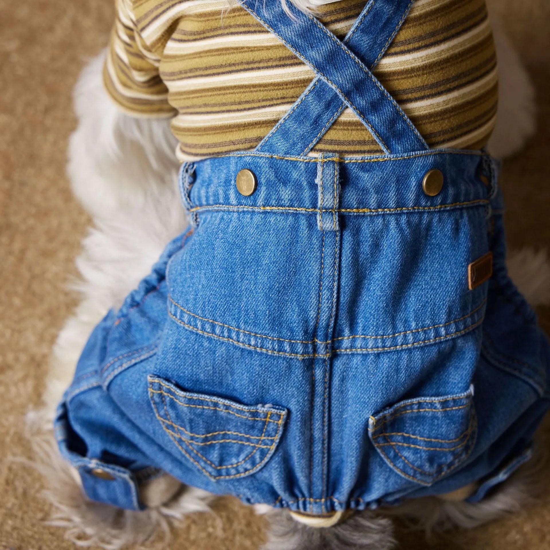 Fleece-lined thickened denim blue dog coat for Teddy, Schnauzer, and Bichon breed sizes XS to XXL