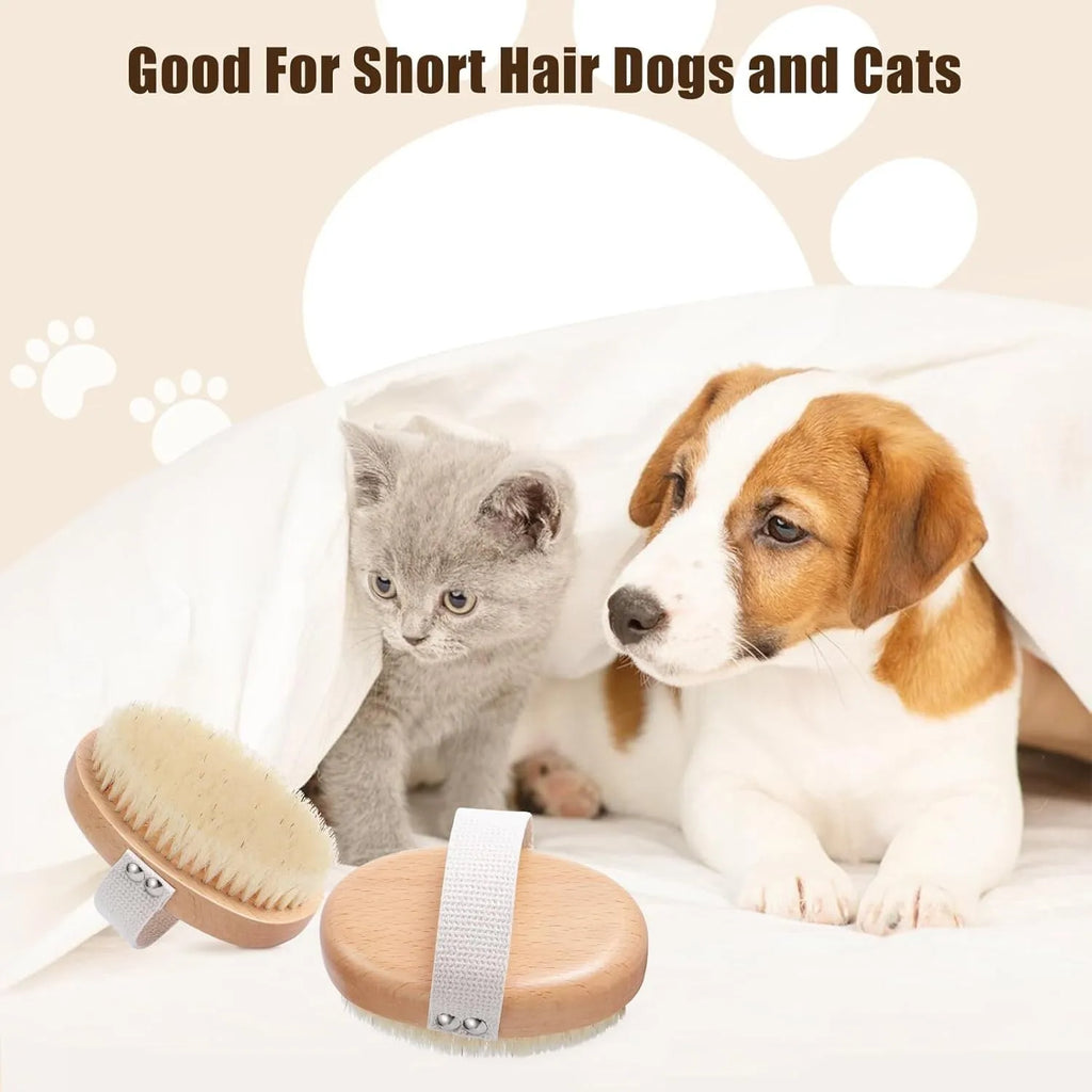 Soft natural boar bristle pet palm brush on beech wood handle for short haired dogs and cats gentle grooming