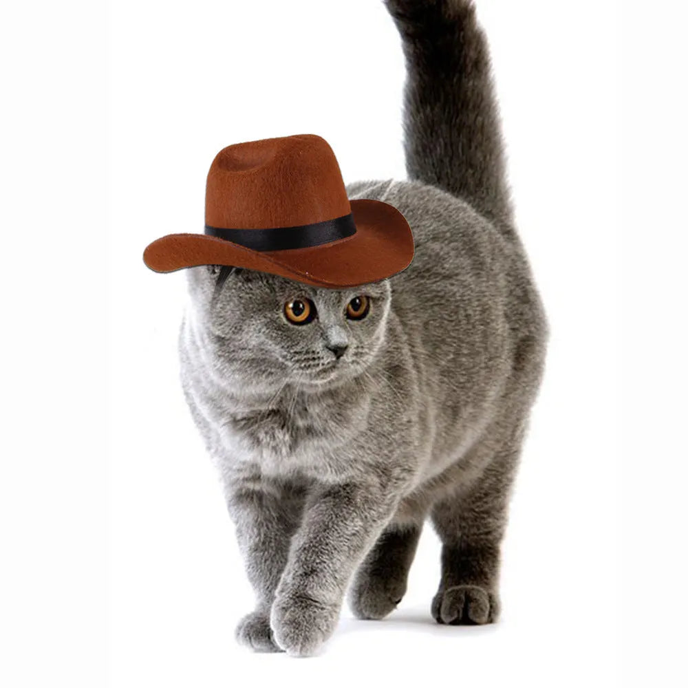 Adjustable cowboy hat for pets in black, brown, burgundy, or coffee on a dog