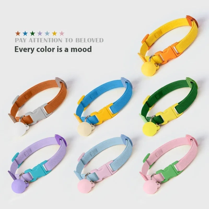 A monochrome elastic pet collar for small dogs in a choice of seven colours, adjustable from 22 to 32 cm.
