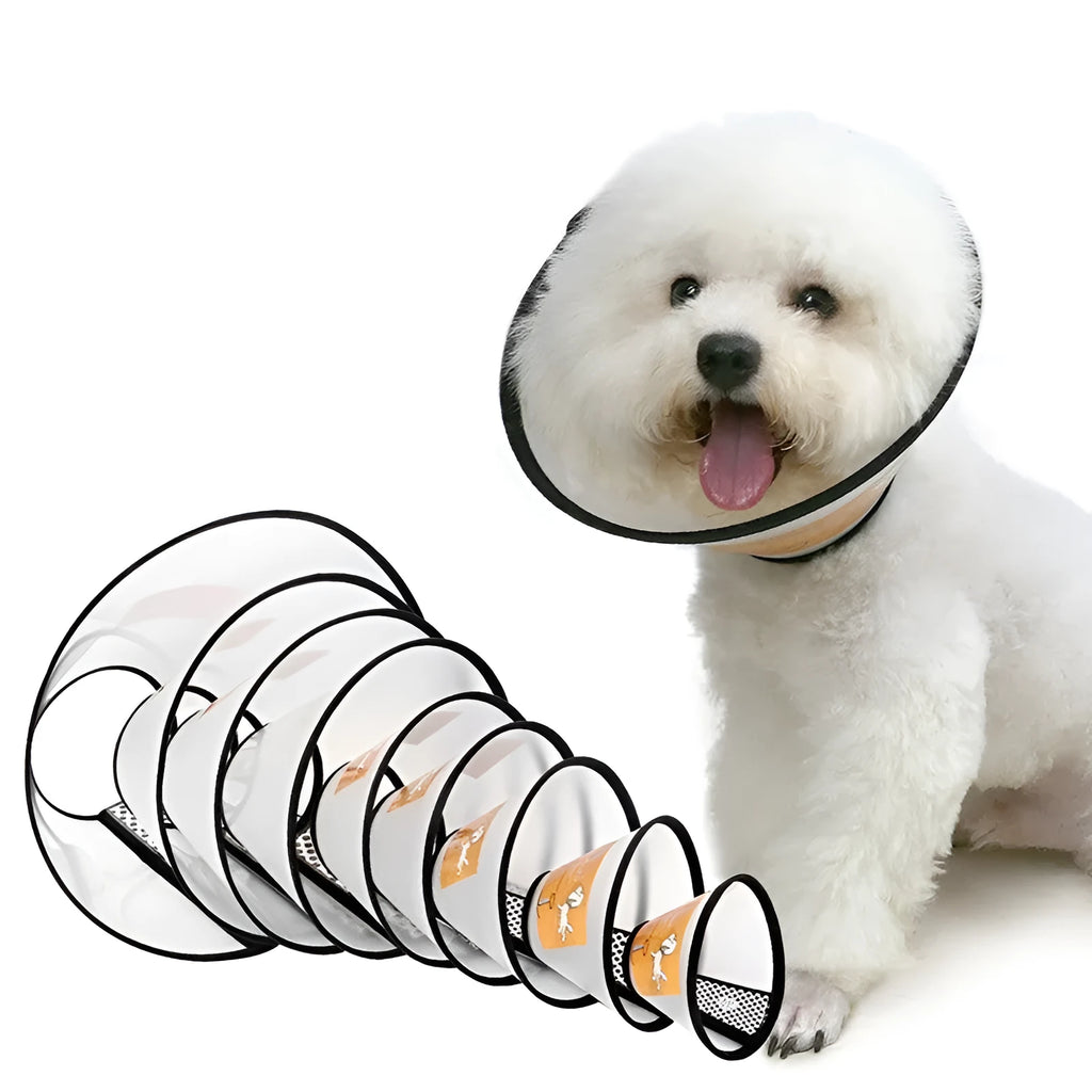 Transparent PP pet cleaning ring with Velcro closure shown in a size suitable for small to medium dogs