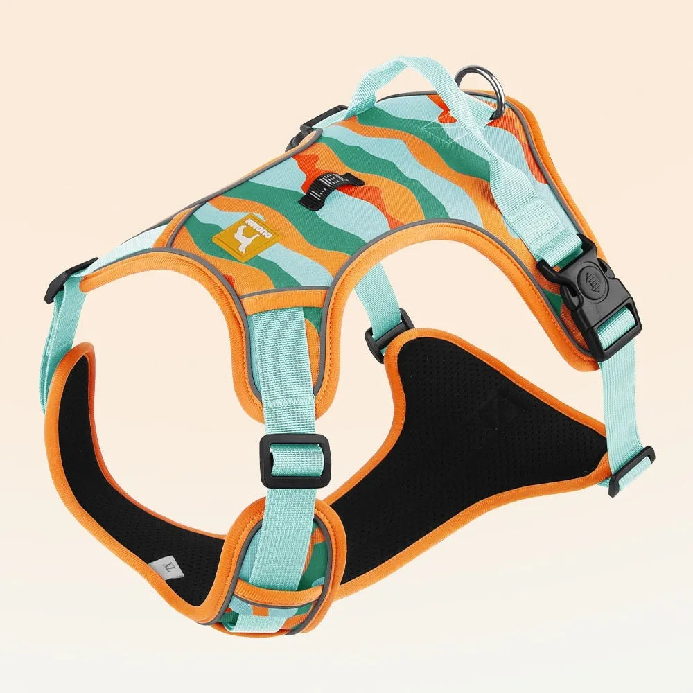 Reflective orange dog harness and leash for chest and back control on a dog.