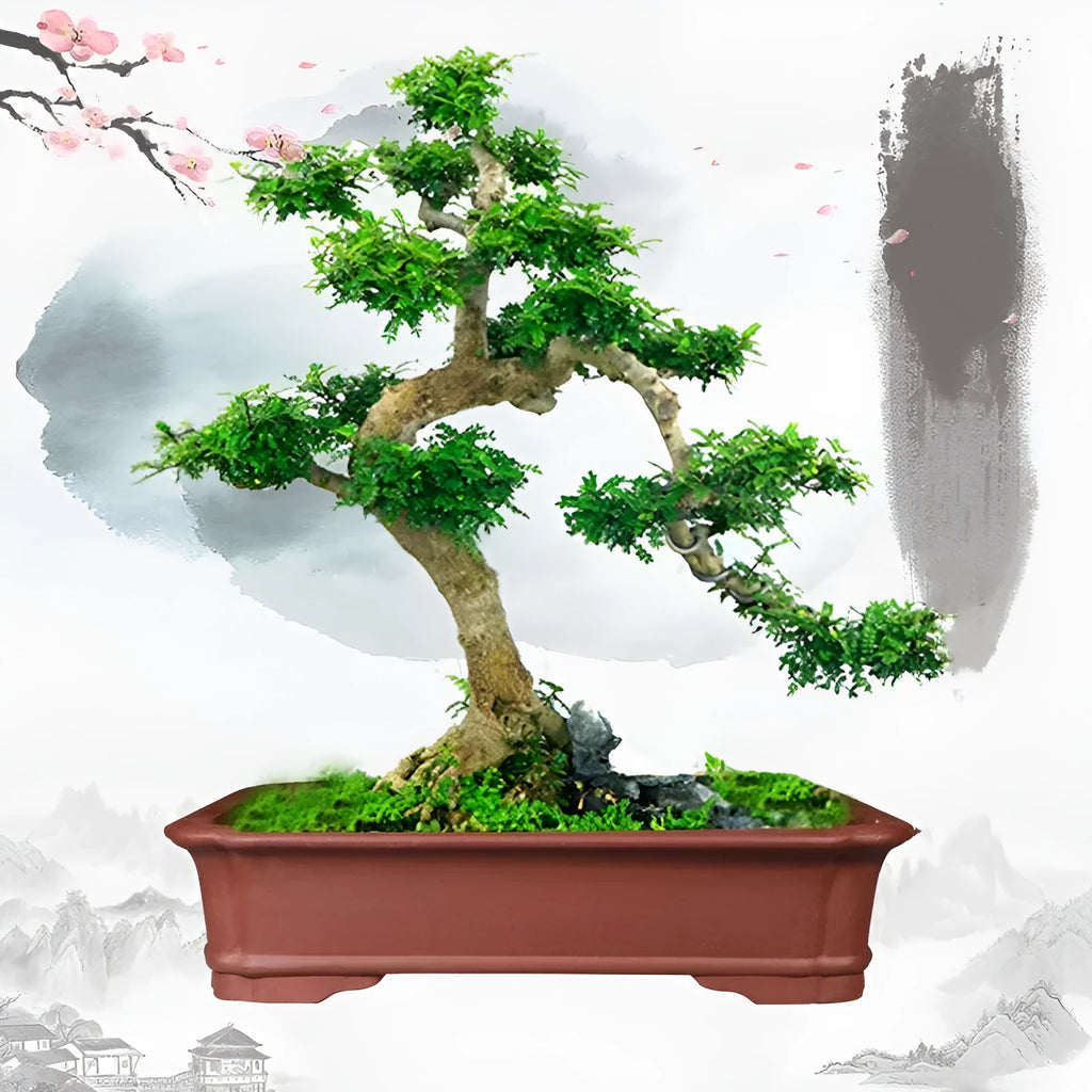 Large rectangular handmade purple clay bonsai pot on a garden table.