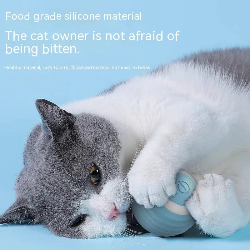 Rechargeable silicone automatic moving cat toy ball in blue and pink for indoor cats and kittens