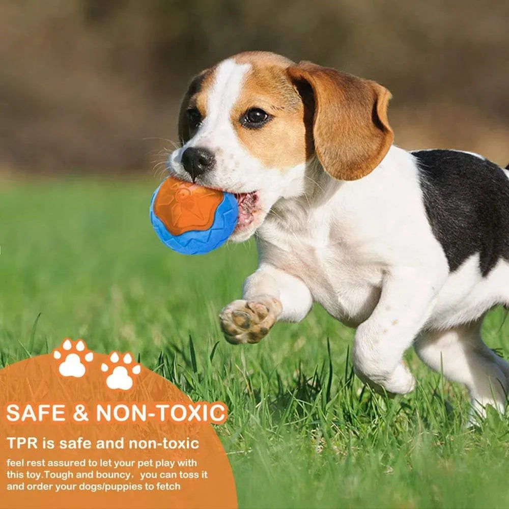 Set of three floating TPR dog toys: a red squeaky ball, a blue squeaky barbell, and an orange squeaky tire on a blue background.