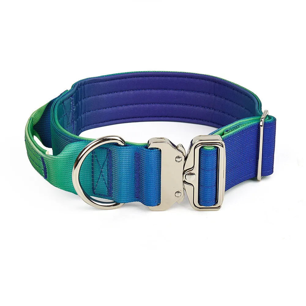 Gradient nylon dog collar and leash set, widened collar, Green Blue Pink Purple options, sizes L M, 2.5cm x 150cm leash