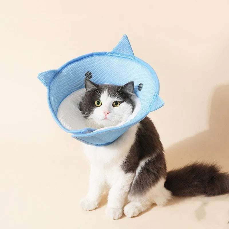 Pet protective cover in blue shark cartoon pattern, made from mesh cloth, on a light background