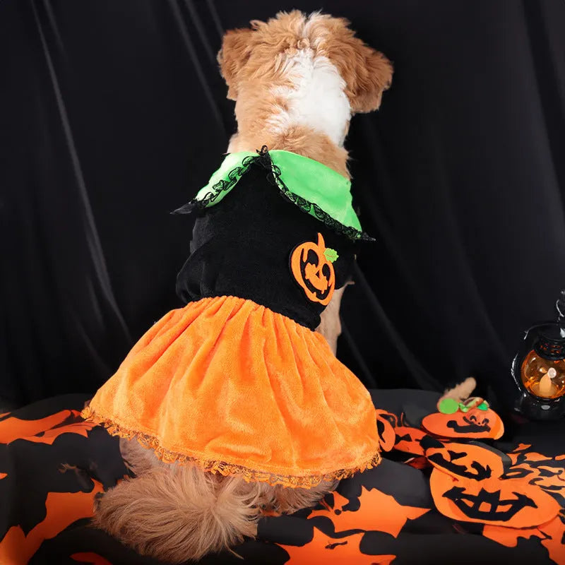 Halloween pumpkin costume skirt for small dogs and cats in crystal velvet fabric