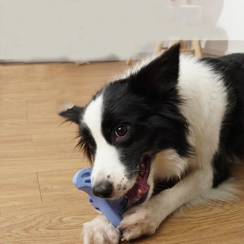 Blue and purple boomerang shaped dog chew toy for medium and large breeds