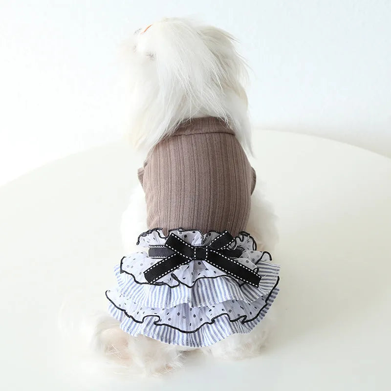 Polka dot lace princess dress for a small dog or cat in charcoal black colour.