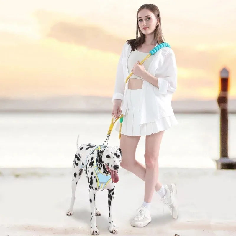 140cm nylon dog traction leash with foam handle in four colour options