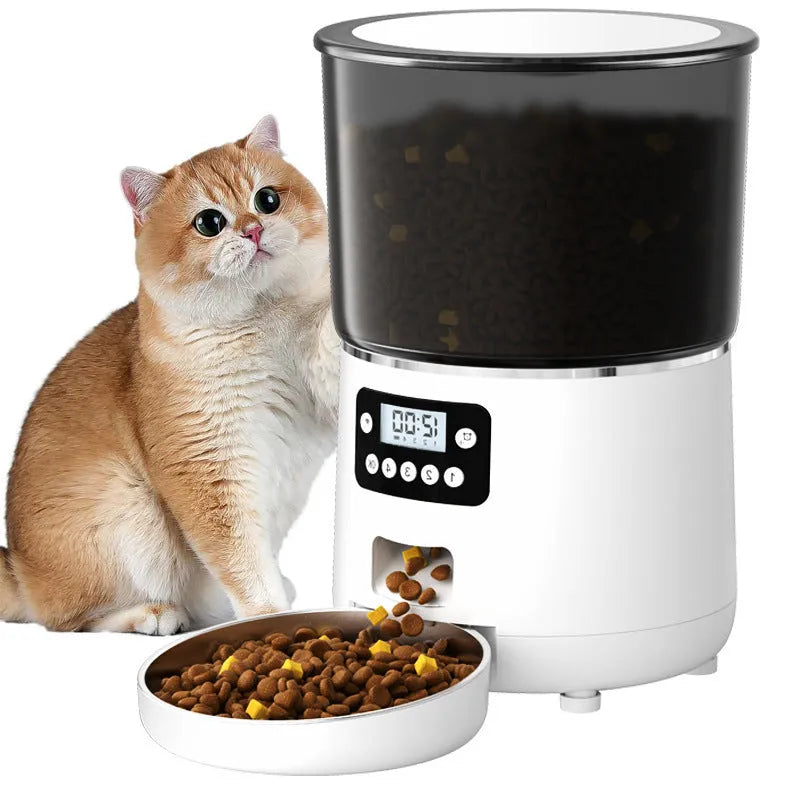 Pet 4L Smart Graffiti APP Automatic Pet Feeder Black Button PFF040 for dogs and cats