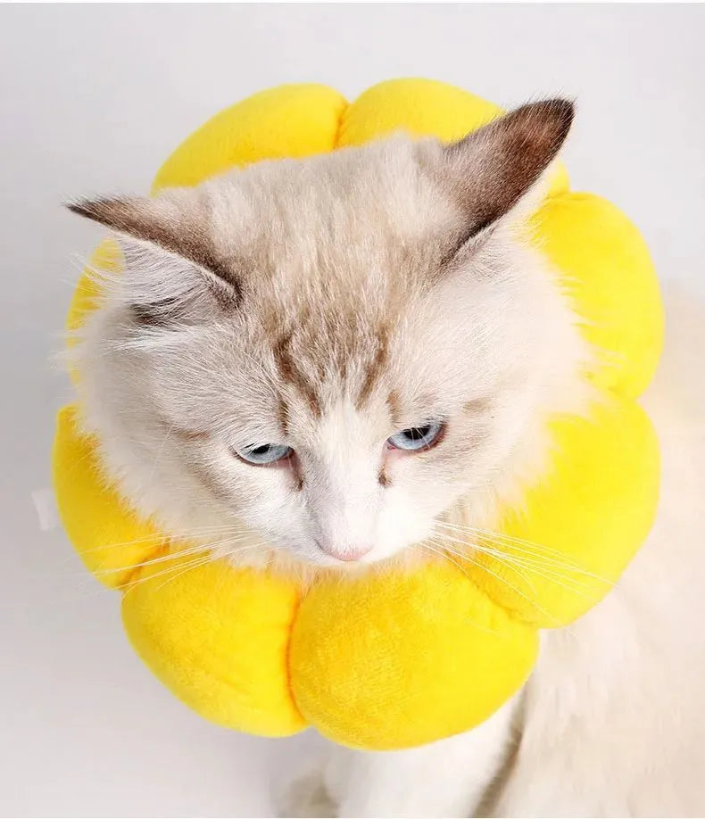 Sunflower patterned cotton recovery collar for a cat or small dog, showing adjustable band.