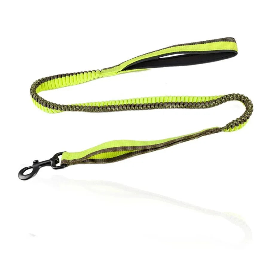 Green elastic dog training leash with metal clip for medium and large dogs