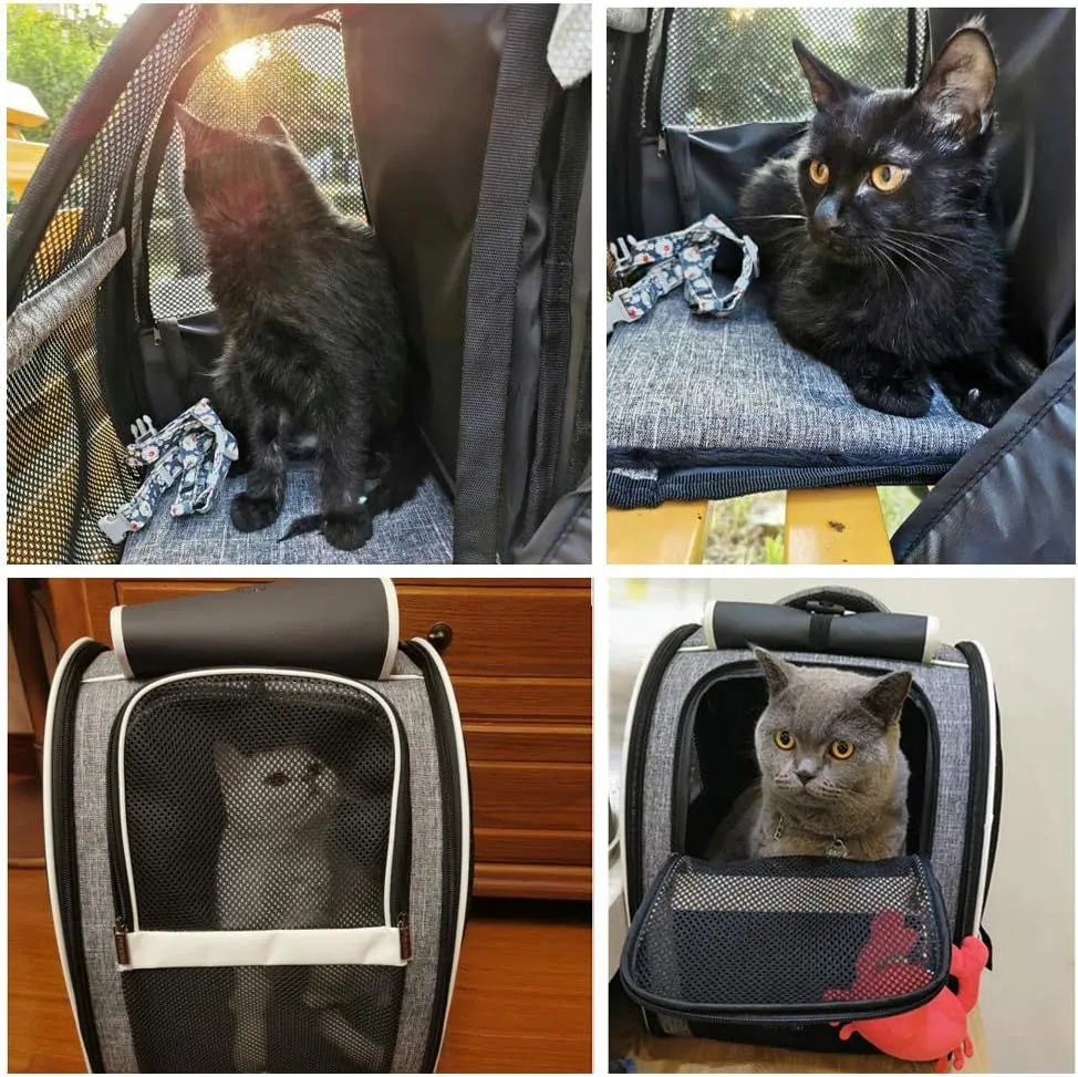 Grey or pink PVC mesh pet carrier backpack for cats and small dogs, 42cm x 31cm x 5cm, with chest buckles and removable mat