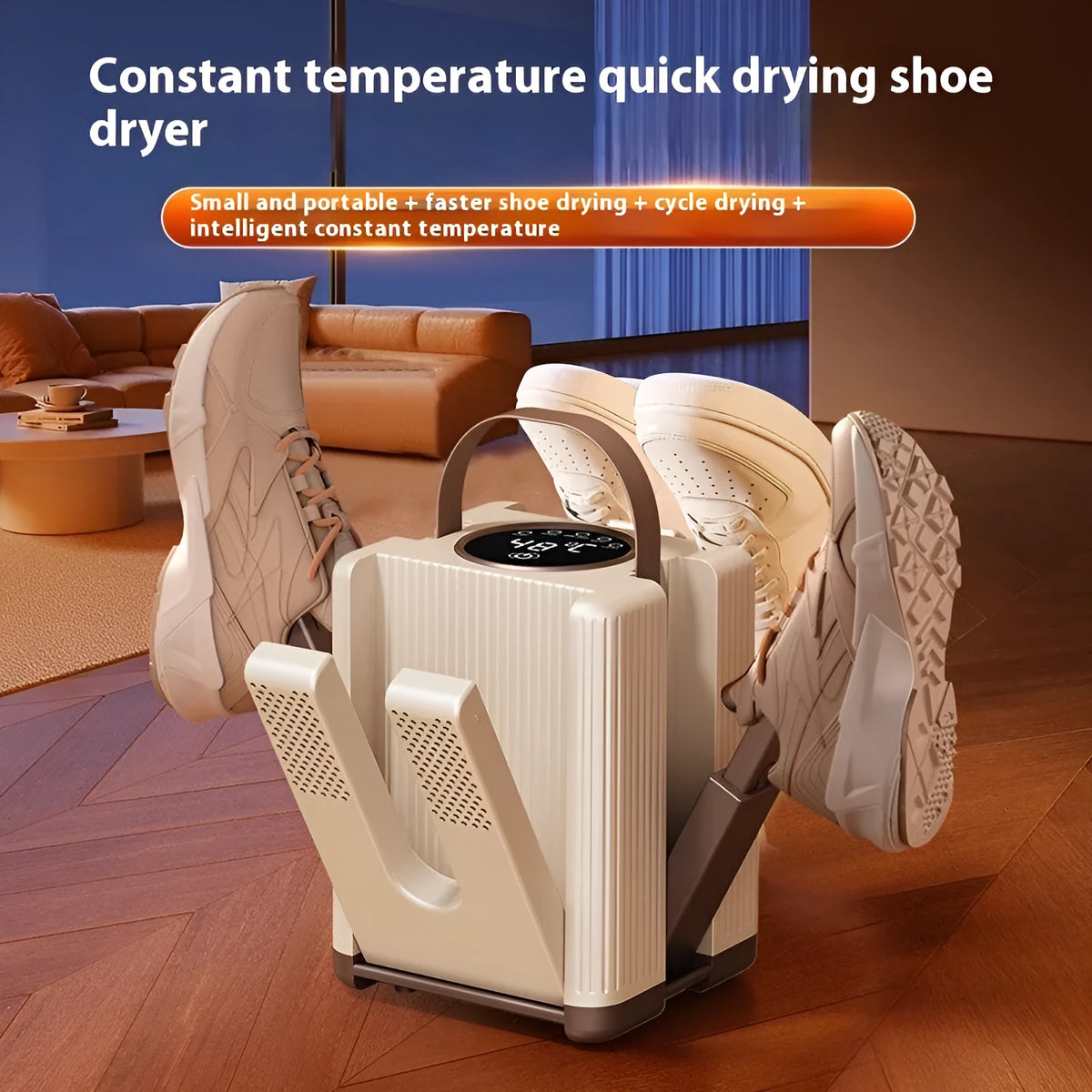 Home shoe dryer with intelligent timing and EU plug for drying damp footwear