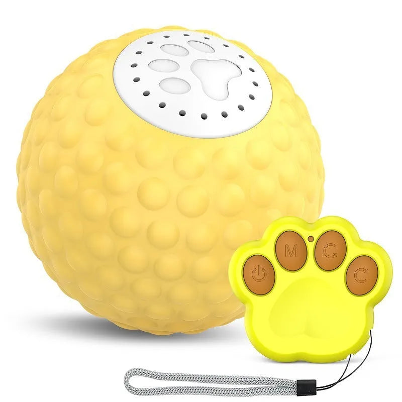 Remote control and colourful plastic ball cat toy with rolling and sound features for interactive play.