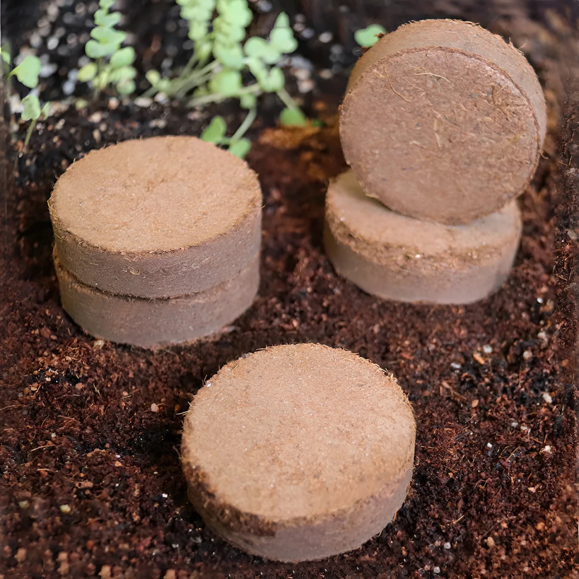 Compressed nutrient soil blocks for vegetable planting and seedling growth in various sizes.