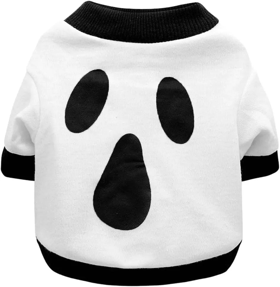 Orange Halloween dog sweatshirt with skeleton print on small Dachshund