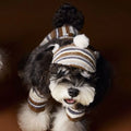 Striped fur ball pet hat for dogs in coffee colour, acrylic knit casual autumn accessory