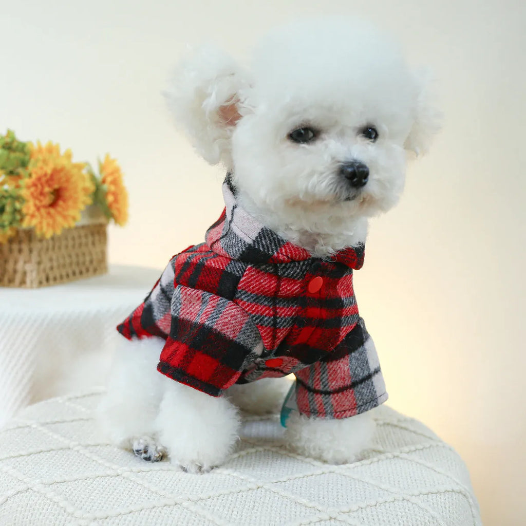 Red plaid dog trench coat shown alongside black houndstooth version, with size chart showing chest circumference measurements