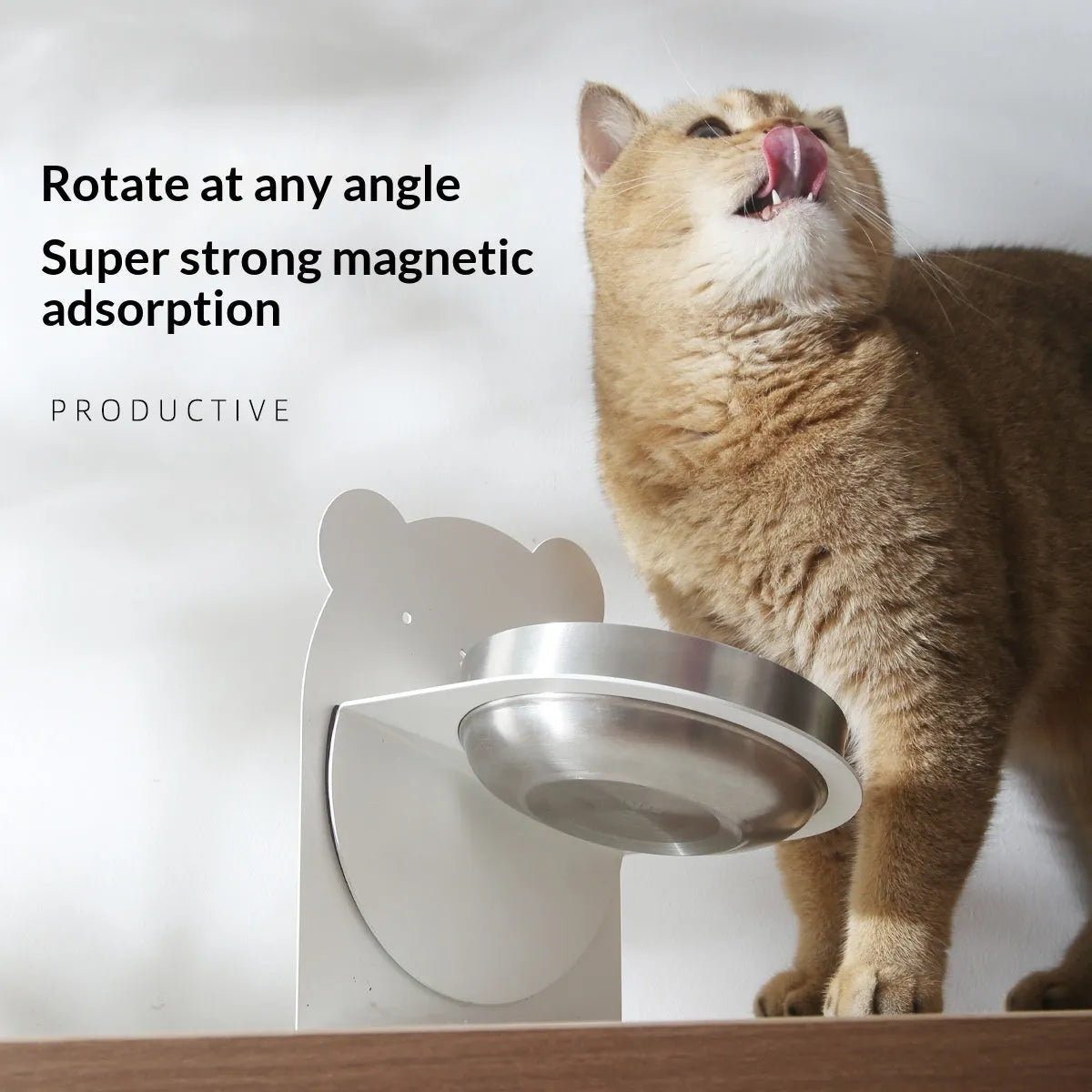 White magnetic stand stainless steel inclined cat water bowl on floor