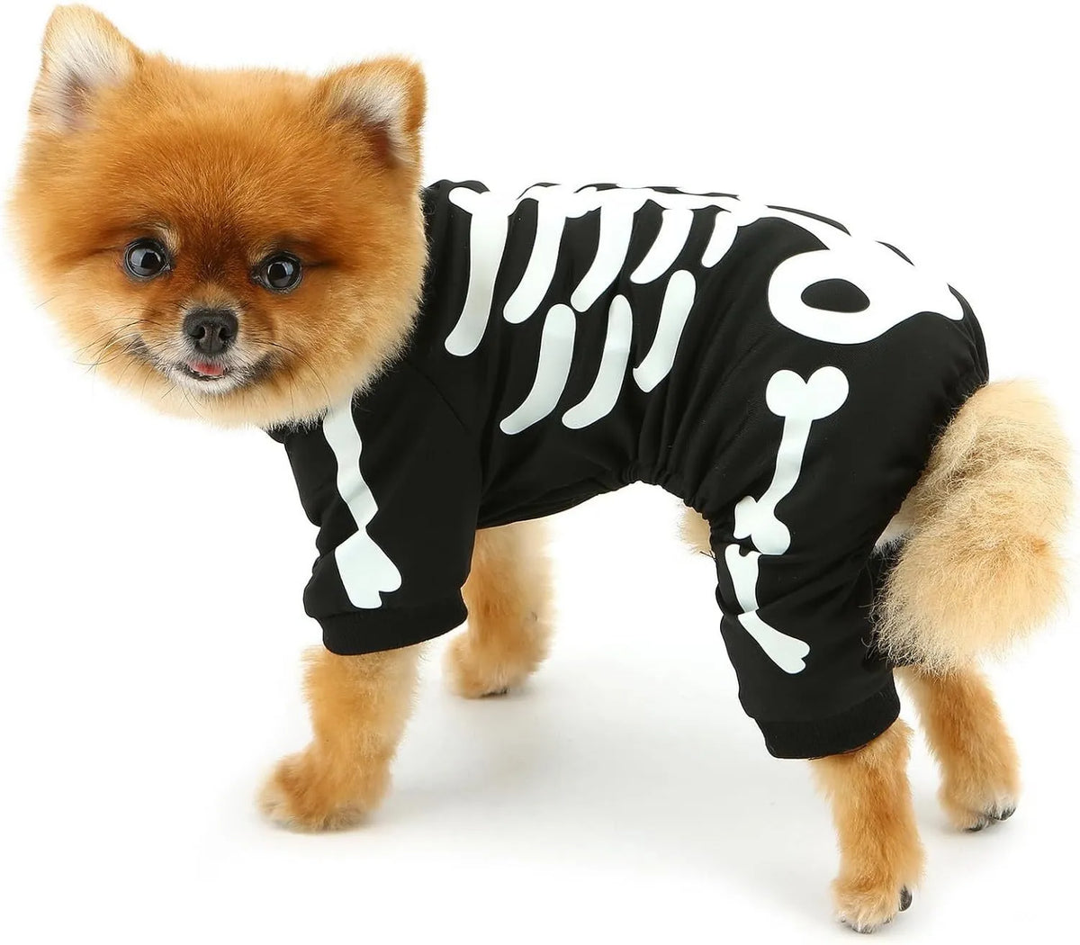 Glow in the dark skeleton Halloween dog costume jumpsuit for small dogs, sizes S to XL
