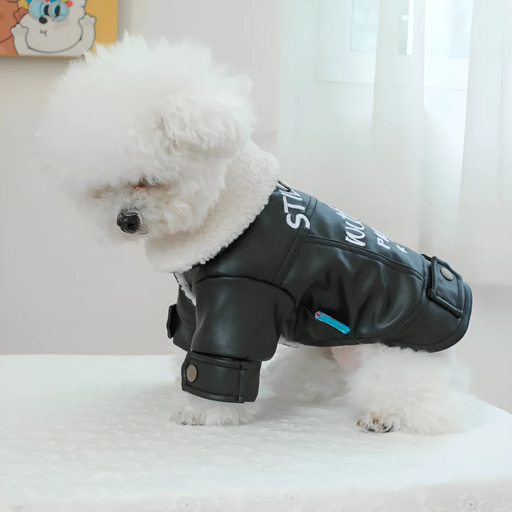 Fleece-lined padded dog coat in three colours with size chart showing measurements
