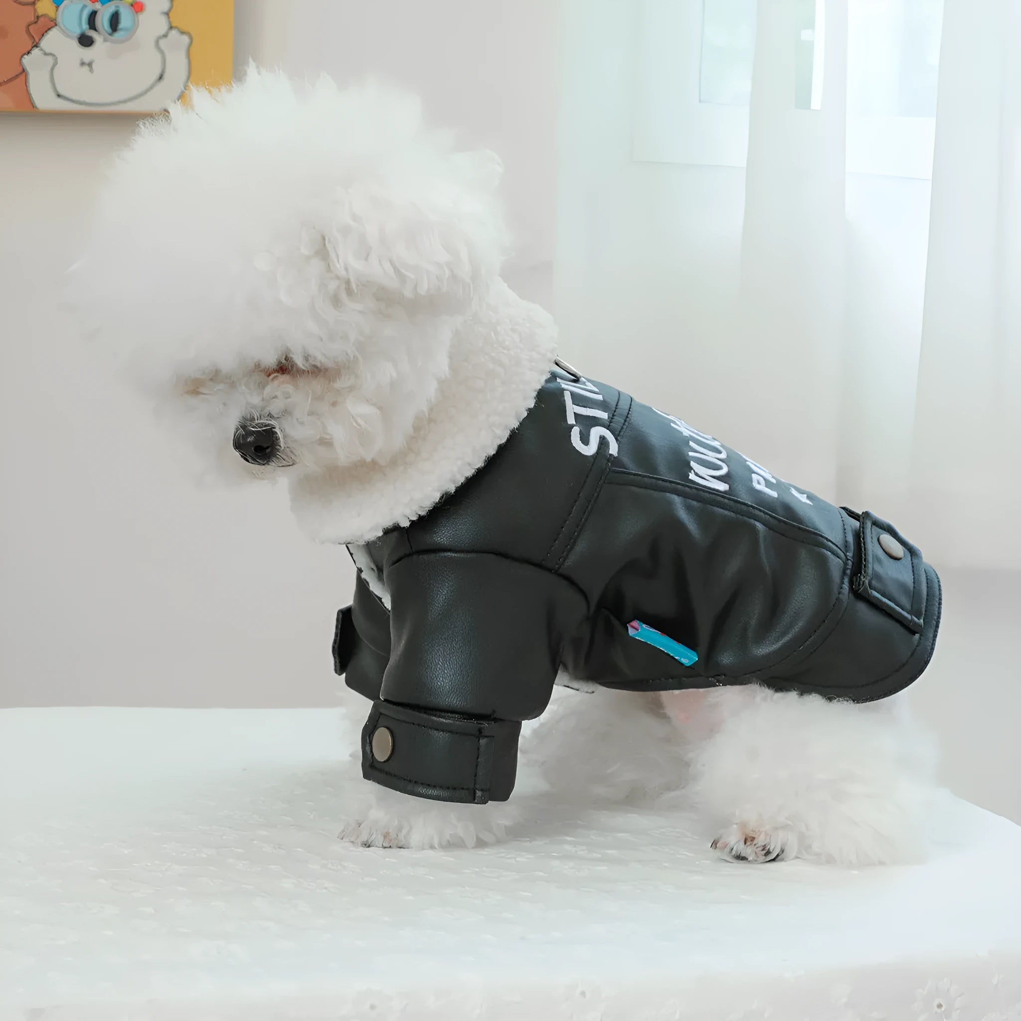 Fleece-lined padded dog coat in three colours with size chart showing measurements