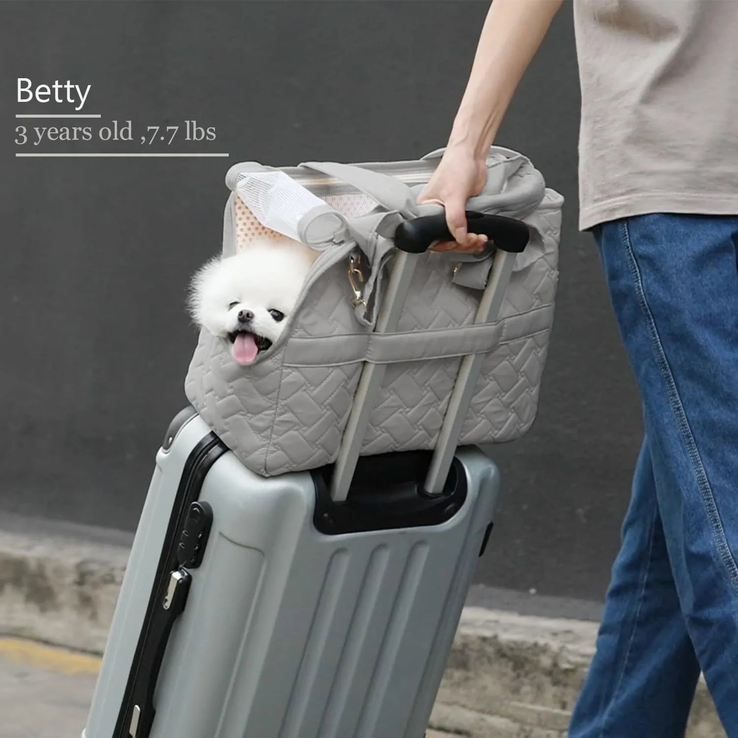 Grey handbag-style pet carrier with mesh panels and a safety leash for cats and small dogs.