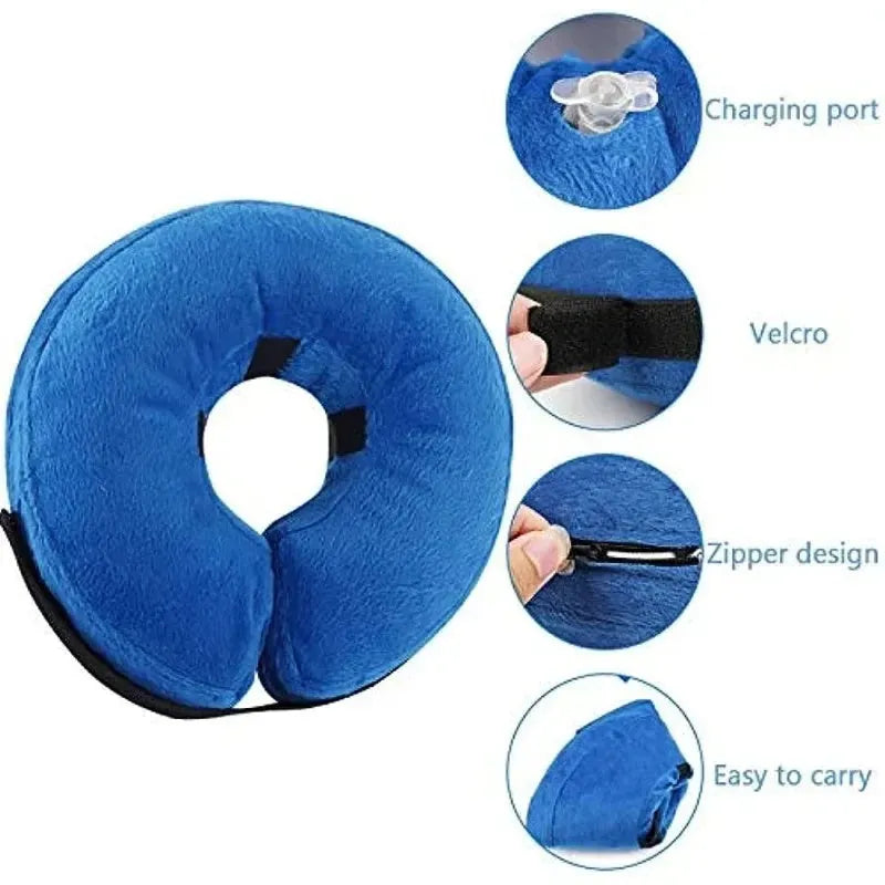 Blue inflatable soft recovery collar for a dog after surgery.