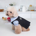 Dark grey polyester casual dog clothing shown on pet model