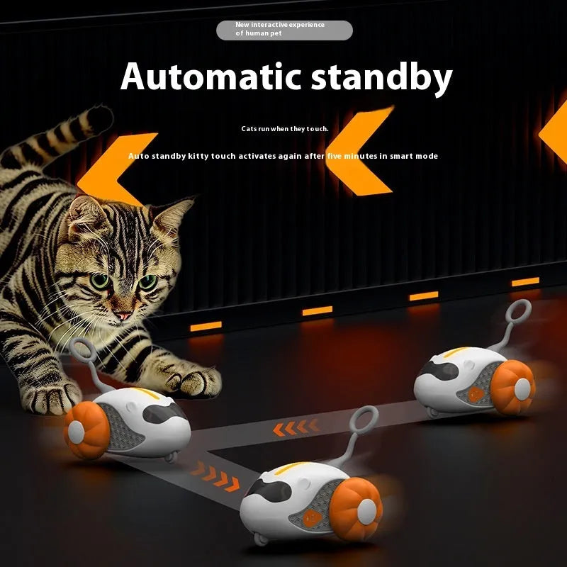 Blue remote control cat teaser toy with charging cable and replacement feathers