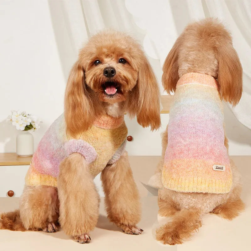 Dopamine pet sweater with rainbow circle design in wool acrylic blend for dogs and cats