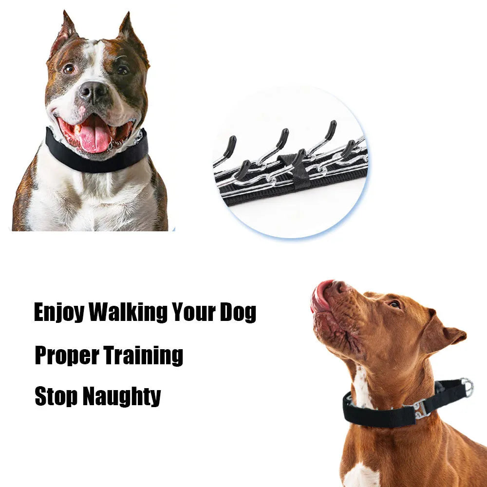Dog training collar with removable plastic spikes in reflective blue colour, shown with neck cover accessory