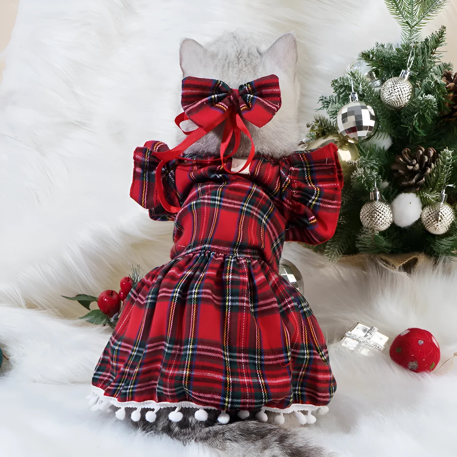 Red tartan Christmas skirt with bow tie and head flower on a dog, showing universal pet festive clothing.