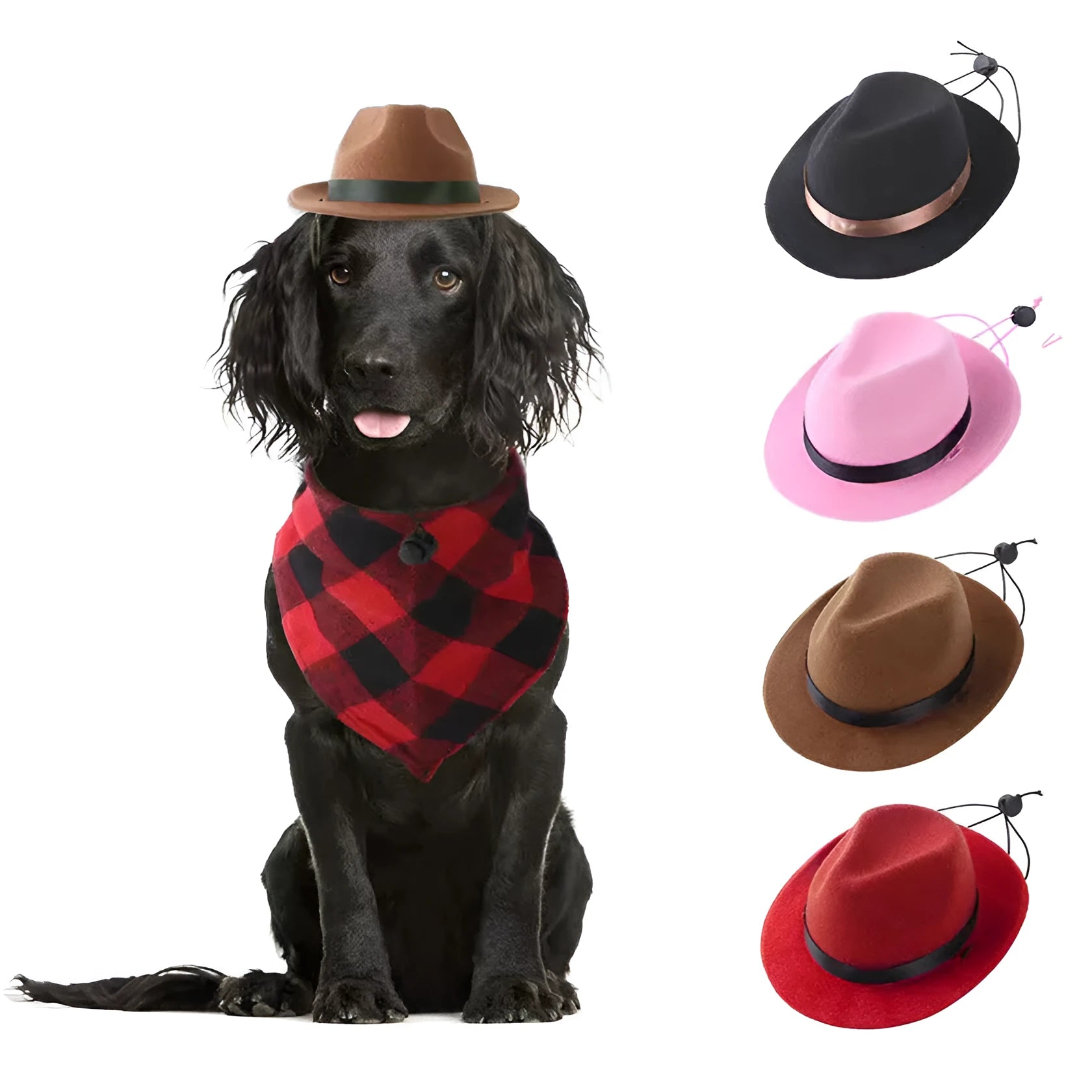 Wool felt mini pet sun hat in pink, black, brown or red for small dogs and cats
