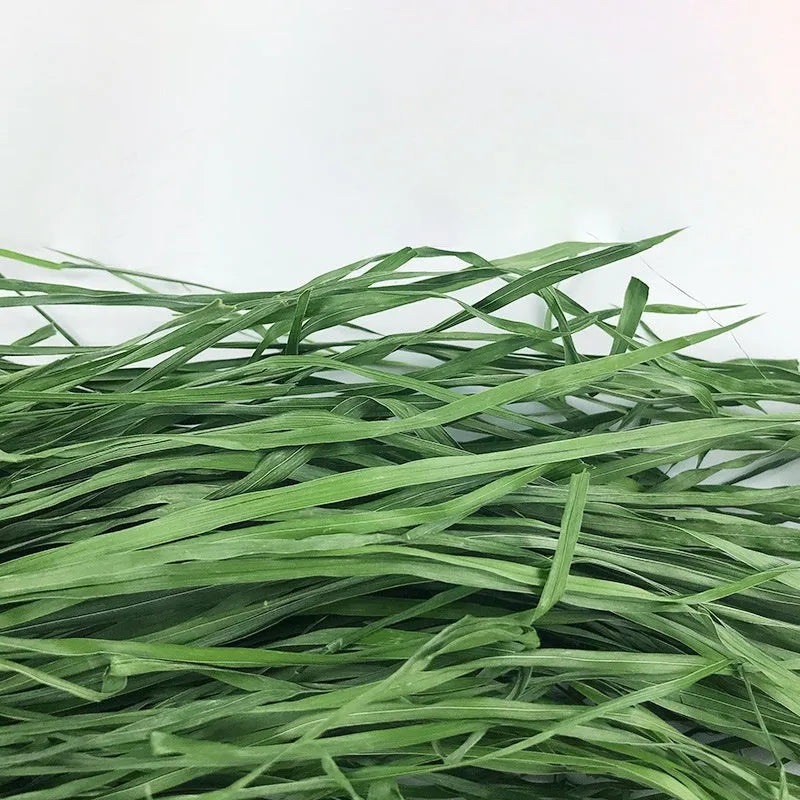 Dried Timothy grass hay 1kg gross 0.68kg net for rabbits, chinchillas, and guinea pigs